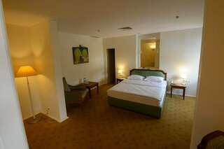 Гостиница Фортеция Орск Стандартный двухместный люкс с 1 кроватью-14