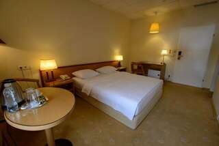 Гостиница Фортеция Орск Двухместный номер с 1 кроватью-1